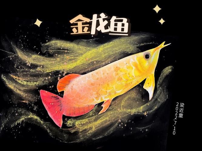 金龍魚圖案作業 金龍魚圖案作業 龍魚百科 第4張
