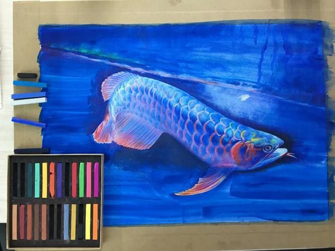 金龍魚圖案作業 金龍魚圖案作業 龍魚百科 第8張