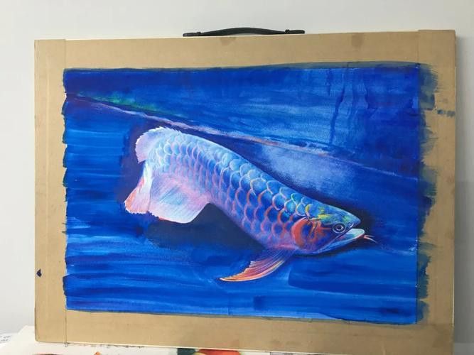 金龍魚圖案作業 金龍魚圖案作業 龍魚百科 第9張