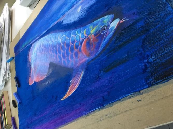 金龍魚圖案作業 金龍魚圖案作業 龍魚百科 第11張
