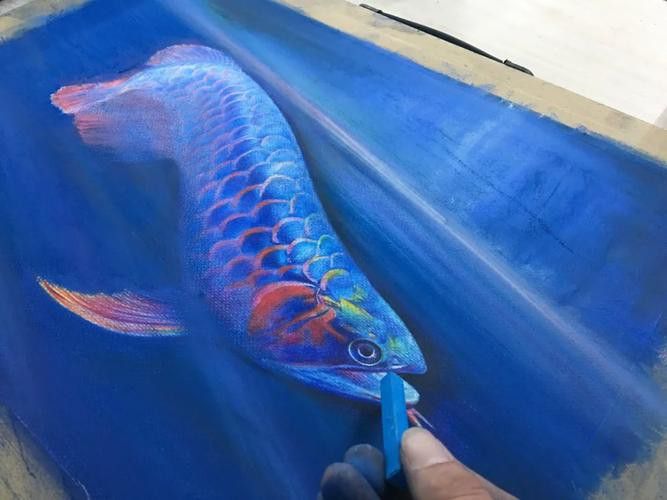 金龍魚圖案作業 金龍魚圖案作業 龍魚百科 第13張