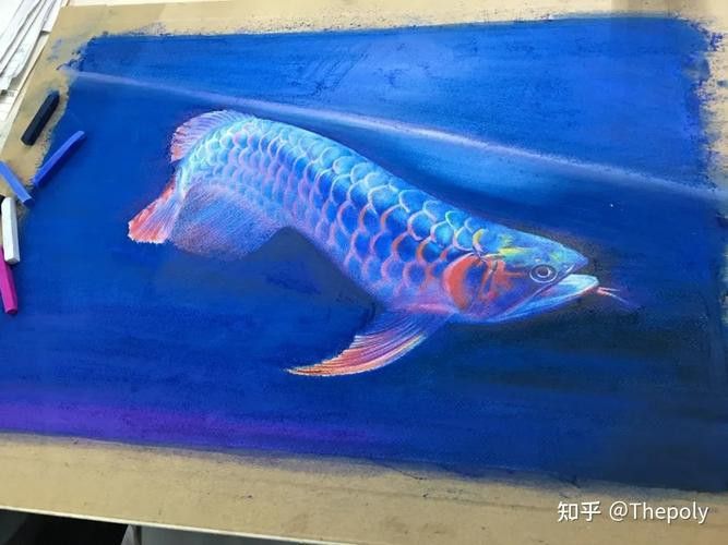 金龍魚圖案作業 金龍魚圖案作業 龍魚百科 第12張