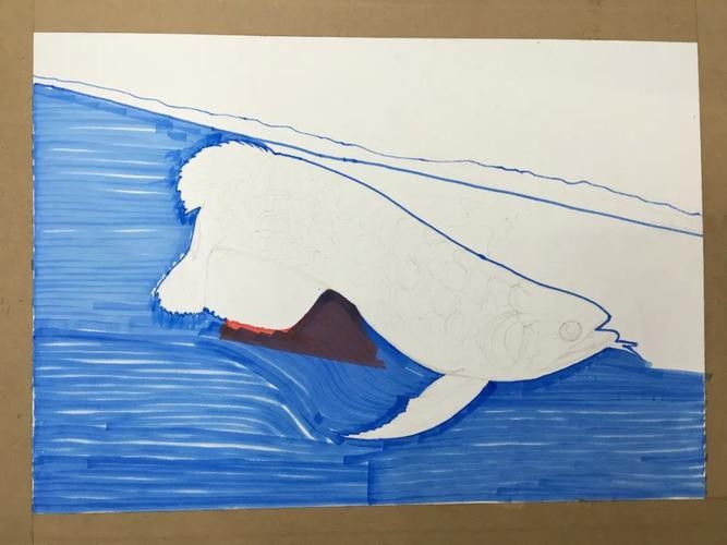 金龍魚圖案作業 金龍魚圖案作業 龍魚百科 第20張