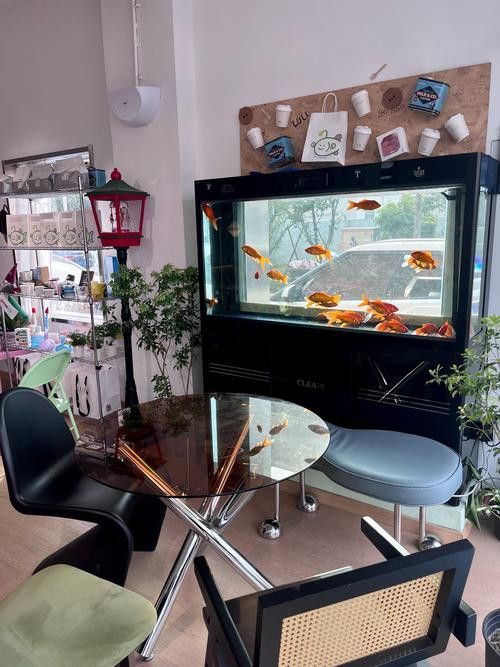 虎皮恐龍魚如何養才活久一點 龍魚百科 第4張 虎皮恐龍魚如何養才活久一點 虎皮恐龍魚如何養才活久一點 龍魚百科 第4張