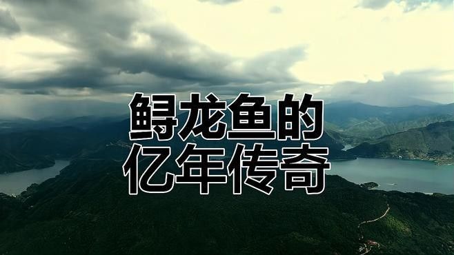 鱘龍魚品牌