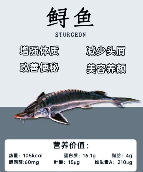 鱘龍魚品牌