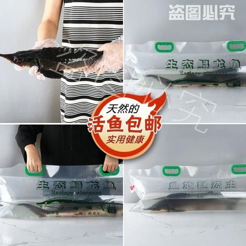 鱘龍魚品牌