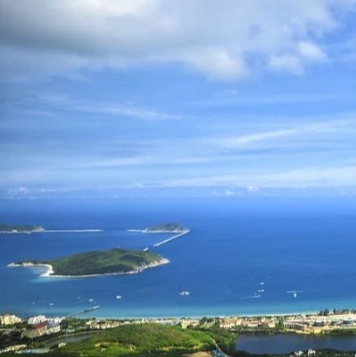 金魚藻會(huì)跟魚搶氧氣嗎 龍魚百科 第9張 金魚藻會(huì)跟魚搶氧氣嗎 金魚藻會(huì)跟魚搶氧氣嗎 龍魚百科 第9張
