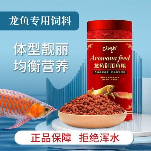 紅色銀龍魚圖片欣賞