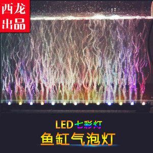 養龍魚晚上開燈還是不開：養龍魚晚上開燈的注意事項 養龍魚晚上開燈還是不開：養龍魚晚上開燈的注意事項 龍魚百科 第2張