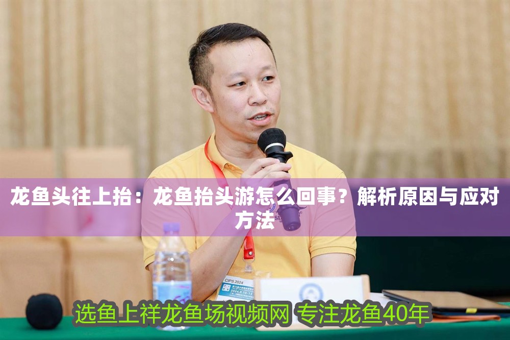 龍魚頭往上抬：龍魚抬頭游怎么回事？解析原因與應對方法