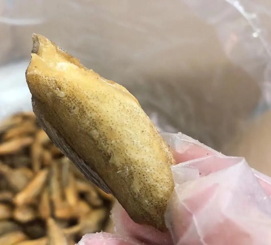 舟山龍魚酥