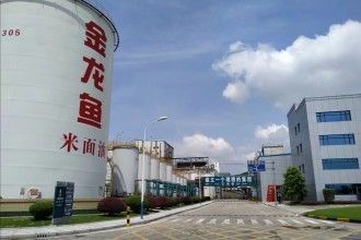 龍魚掉眼后還能恢復正常嗎視頻：龍魚掉眼后能否恢復正常？