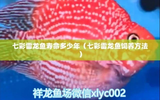 雷龍魚的壽命有多長（雷龍魚的壽命通常為15-20年但具體壽命取決于多種因素）