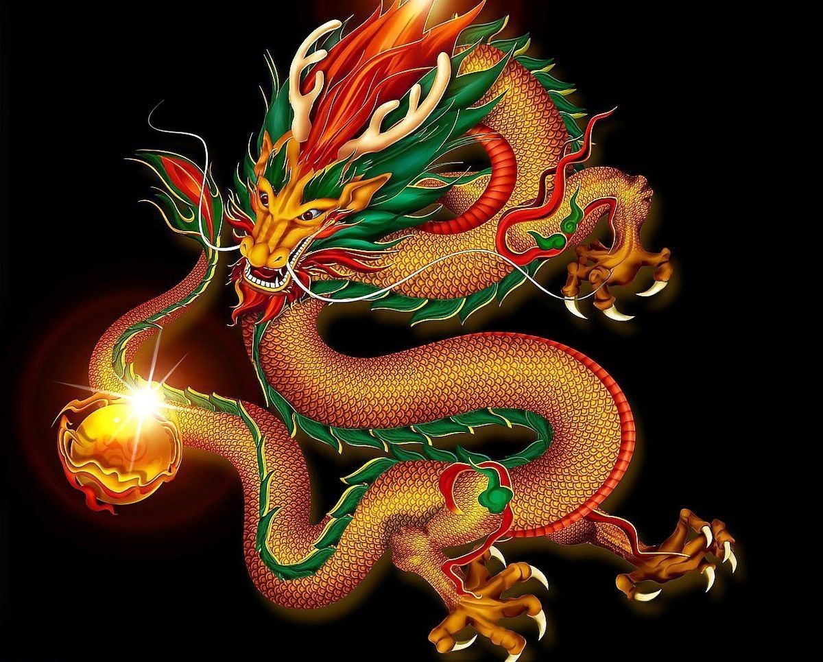 黑龍與西方龍有何區別？ 黑龍與西方龍有何區別？ 龍魚百科 第1張