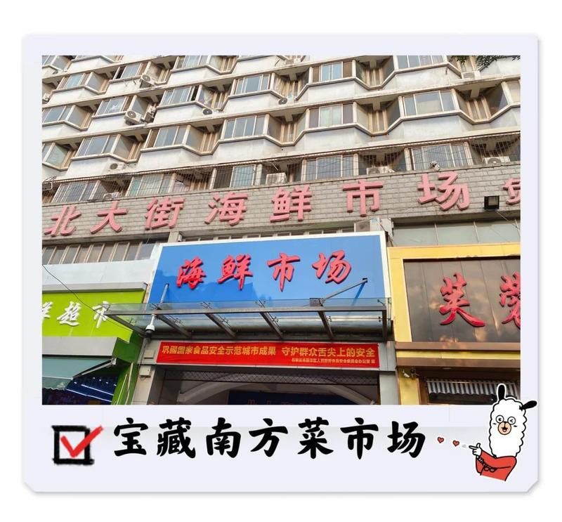 石家莊哪里有賣雷龍魚的市場啊 石家莊哪里有賣雷龍魚的市場啊 龍魚百科 第4張