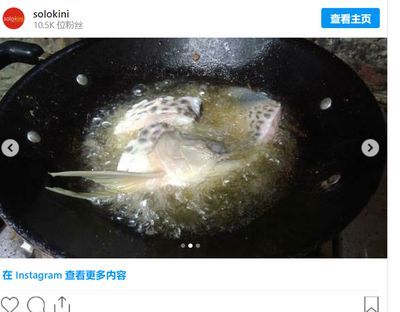 金龍魚十天不喂能行嗎【金龍魚十天不喂食可行嗎】 金龍魚十天不喂能行嗎【金龍魚十天不喂食可行嗎】 龍魚百科 第2張