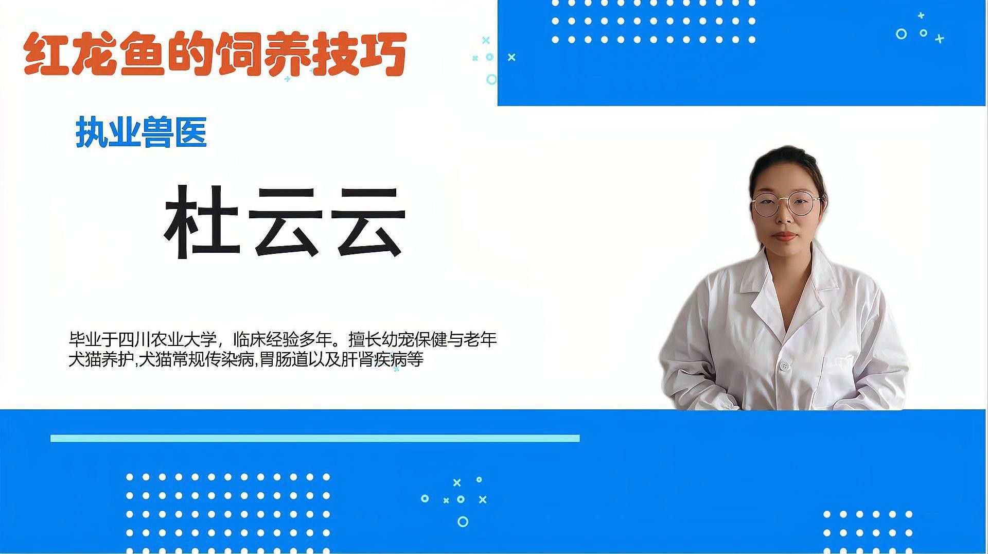如何保持紅龍魚的環境穩定？