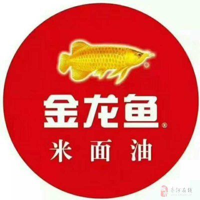 金龍魚門店文員的工作難度：金龍魚門店文員的工作難度：金龍魚門店文員好做嗎？ 金龍魚門店文員的工作難度：金龍魚門店文員的工作難度：金龍魚門店文員好做嗎？ 龍魚百科 第2張