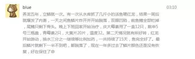 龍魚水泡病會(huì)自愈嗎？