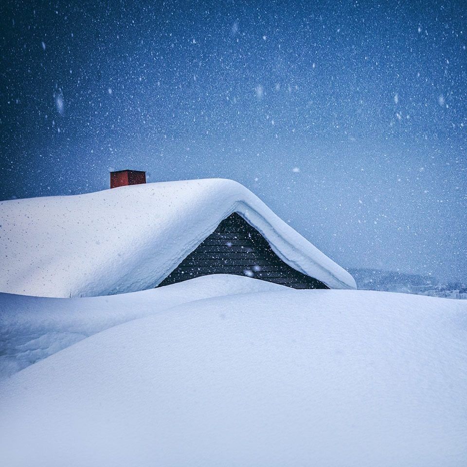 新魚趴缸恢復最快的方法 新魚趴缸恢復最快的方法 龍魚百科 第18張