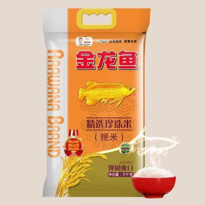 金龍魚精選珍珠米5千克多少錢，金龍魚精選珍珠米5千克的價(jià)格 金龍魚精選珍珠米5千克多少錢，金龍魚精選珍珠米5千克的價(jià)格 龍魚百科 第2張