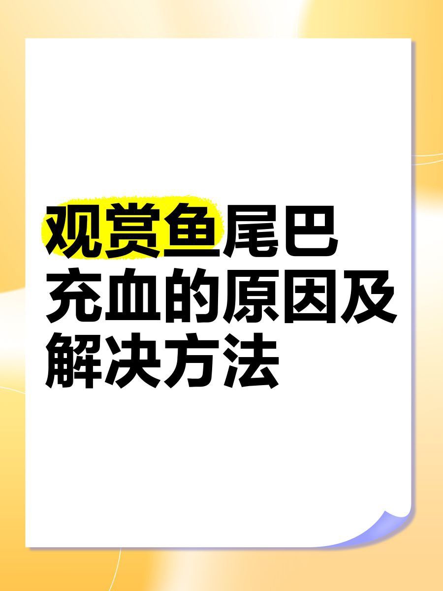 龍魚尾鰭充血會自愈嗎？ 龍魚尾鰭充血會自愈嗎？ 龍魚百科 第7張