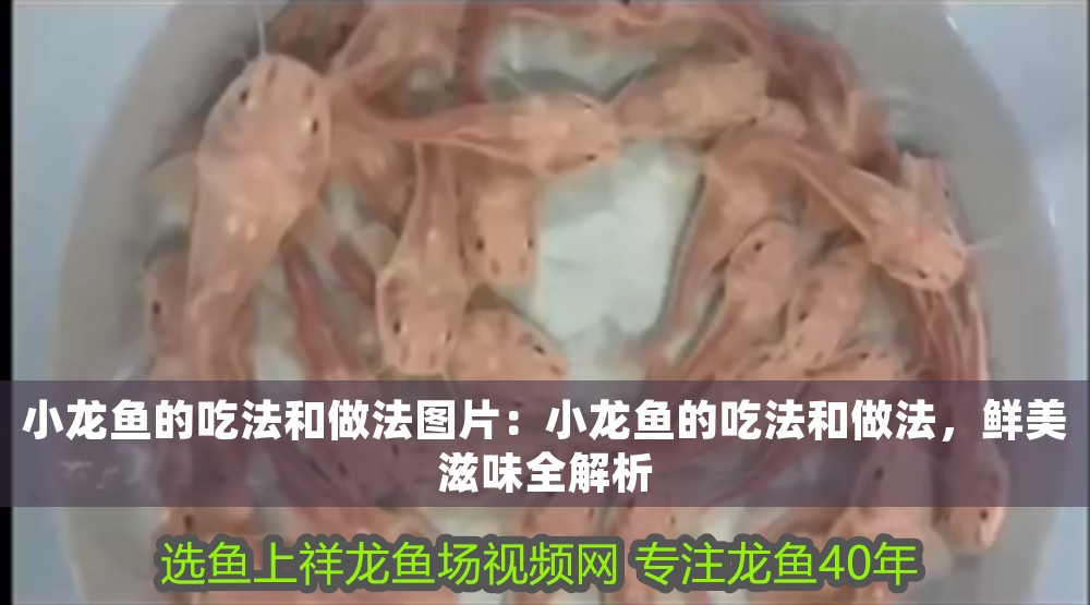 小龍魚的吃法和做法圖片：小龍魚的吃法和做法，鮮美滋味全解析