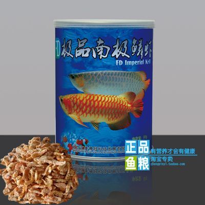 紅龍魚飼料推薦：紅龍魚的飼養技術