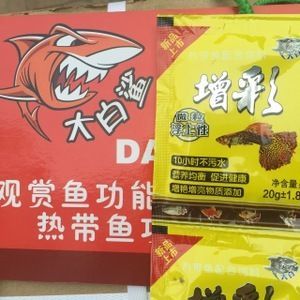 星點(diǎn)龍魚能不能跟地圖鸚鵡混養(yǎng)：澳洲星點(diǎn)龍魚與血鸚鵡魚混養(yǎng)指南，和諧共處的秘訣