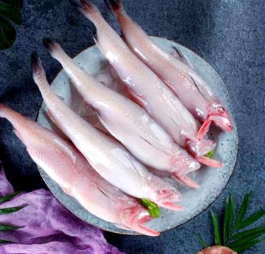 來龍魚是什么海鮮圖片大全