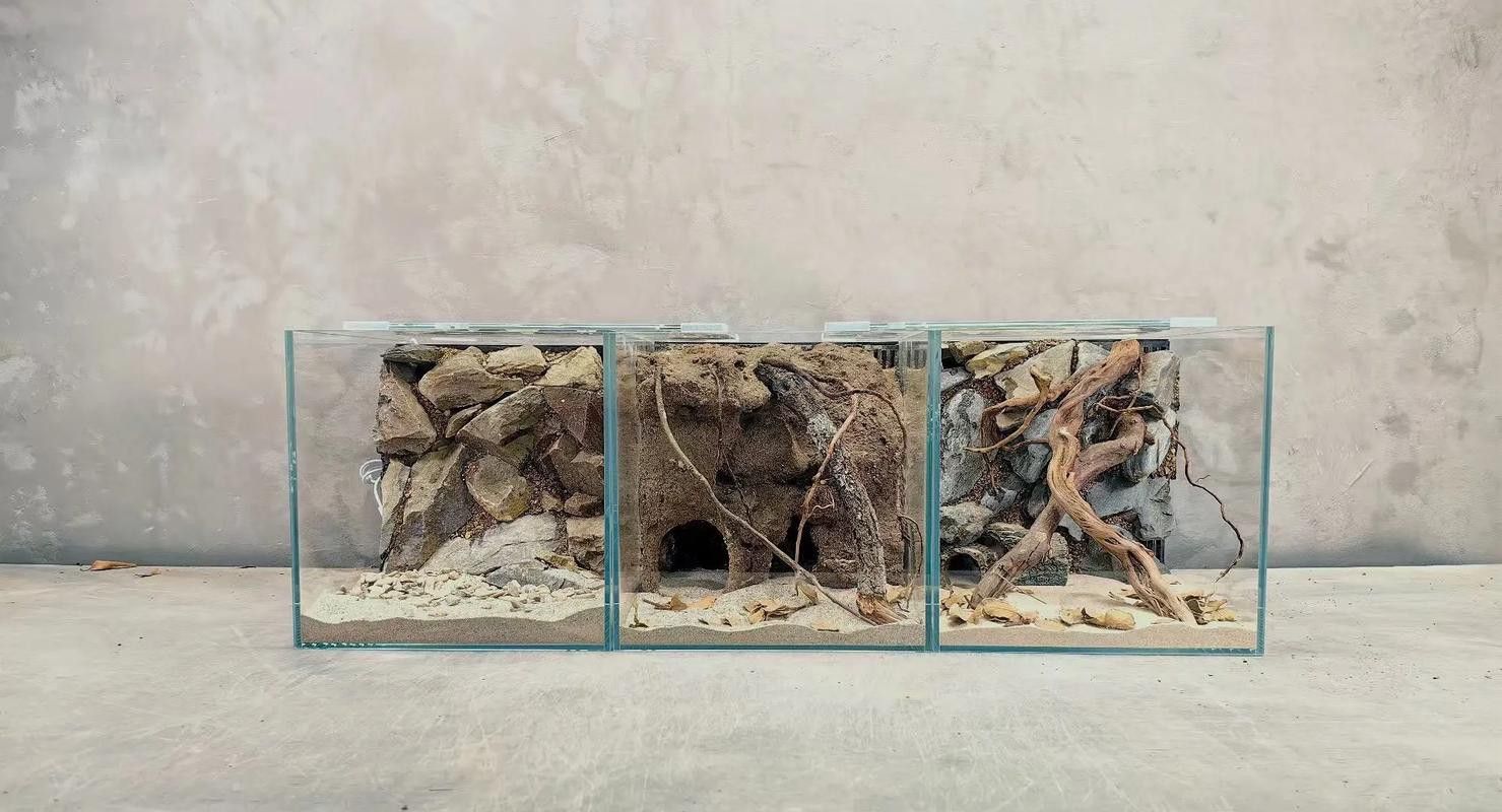 推薦幾款適合雷龍魚的魚缸