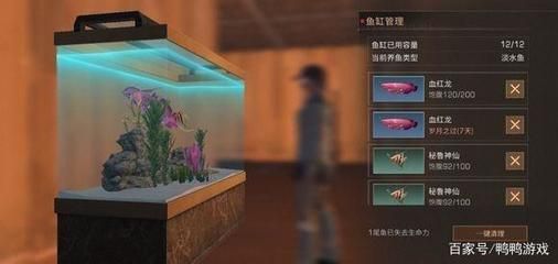 紅龍魚海水魚哪個(gè)好養(yǎng)些：紅龍魚的飼養(yǎng)方法