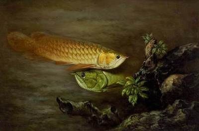 金龍魚吃什么活食最好：關(guān)于金龍魚的最佳活食選擇 金龍魚吃什么活食最好：關(guān)于金龍魚的最佳活食選擇 龍魚百科 第4張