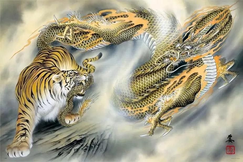 銀龍魚會吃小虎魚嗎圖片 銀龍魚會吃小虎魚嗎圖片 龍魚百科 第30張