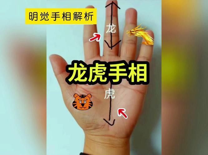 銀龍魚會吃小虎魚嗎圖片 銀龍魚會吃小虎魚嗎圖片 龍魚百科 第31張