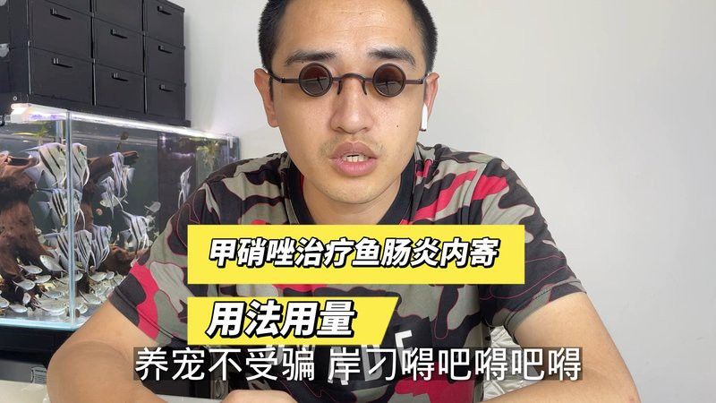 哪些品牌的藥物對龍魚治療比較可靠？