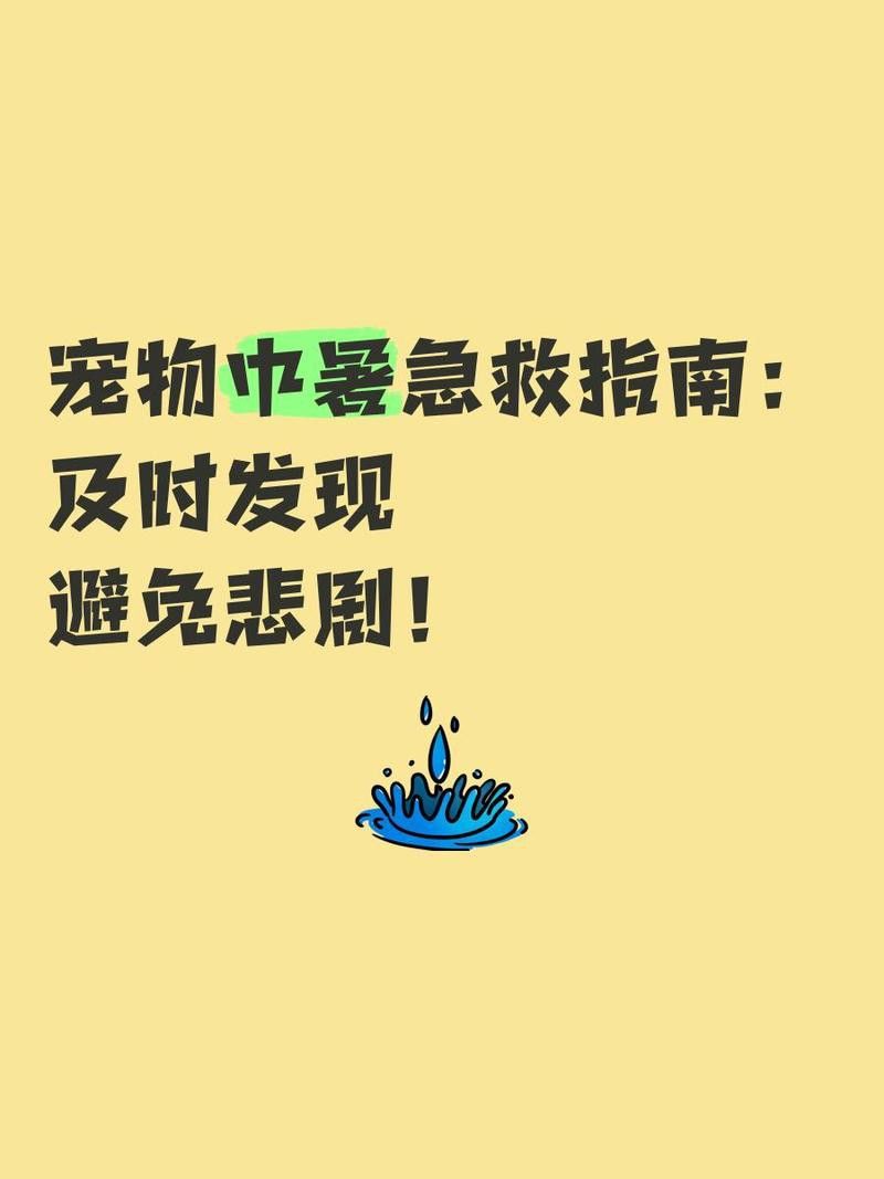 六角恐龍魚中暑后多久會死 六角恐龍魚中暑后多久會死 龍魚百科 第3張