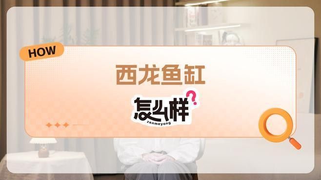 龍魚缸哪個牌子性價比高一點