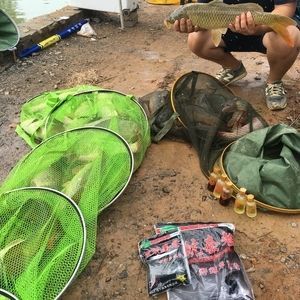 金龍魚餌官網(wǎng)：金龍魚餌官網(wǎng)助力用戶成為游戲高手成就電競(jìng)夢(mèng)想