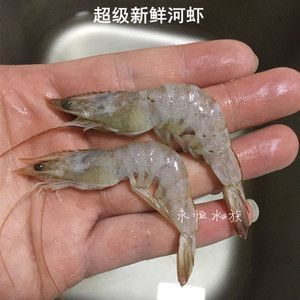 小河蝦跟蝦段哪個適合龍魚（小河蝦可以作為龍魚的合適食物嗎？）