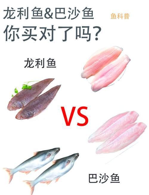 龍利魚和巴沙魚圖片 龍魚百科 第4張 龍利魚和巴沙魚圖片 龍利魚和巴沙魚圖片 龍魚百科 第4張
