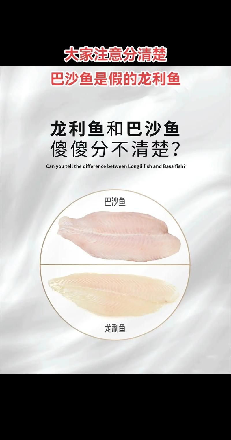 龍利魚和巴沙魚圖片 龍魚百科 第3張 龍利魚和巴沙魚圖片 龍利魚和巴沙魚圖片 龍魚百科 第3張