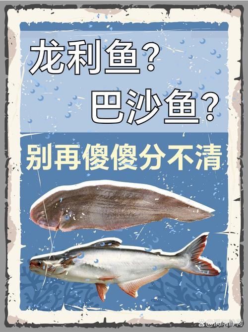 龍利魚和巴沙魚圖片 龍魚百科 第6張 龍利魚和巴沙魚圖片 龍利魚和巴沙魚圖片 龍魚百科 第6張