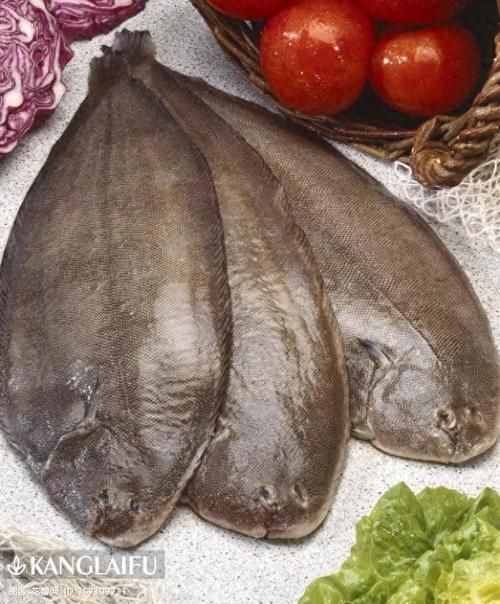 龍利魚和巴沙魚圖片 龍魚百科 第13張 龍利魚和巴沙魚圖片 龍利魚和巴沙魚圖片 龍魚百科 第13張