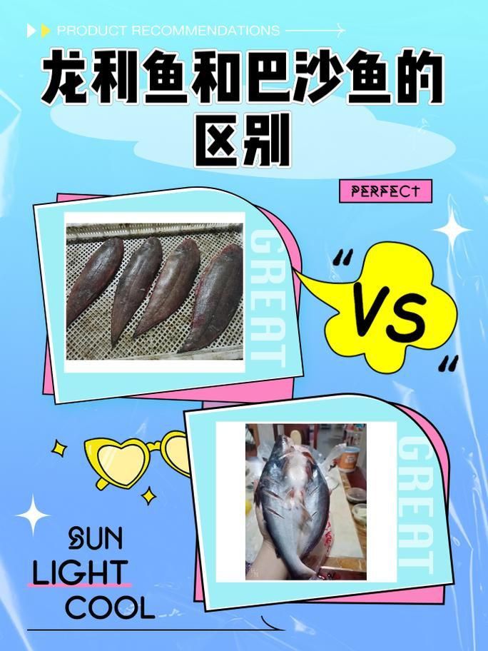 龍利魚和巴沙魚圖片 龍魚百科 第11張 龍利魚和巴沙魚圖片 龍利魚和巴沙魚圖片 龍魚百科 第11張