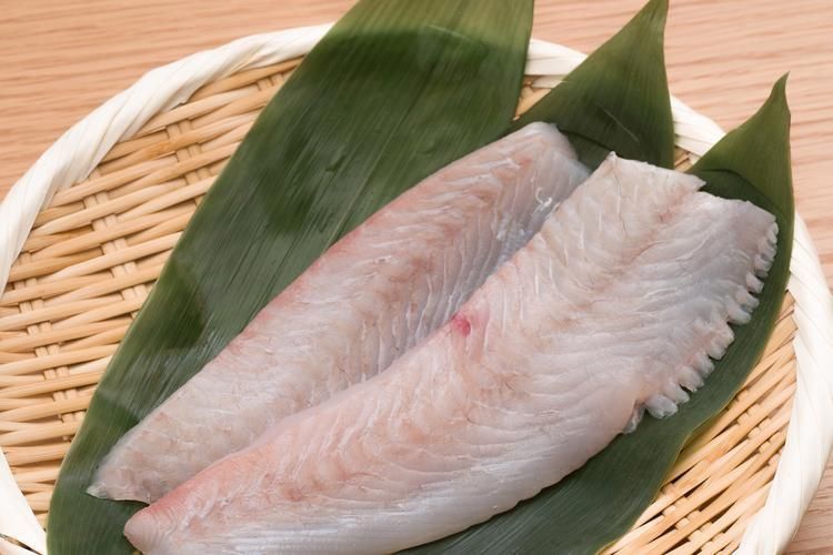 龍利魚和巴沙魚圖片 龍魚百科 第17張 龍利魚和巴沙魚圖片 龍利魚和巴沙魚圖片 龍魚百科 第17張