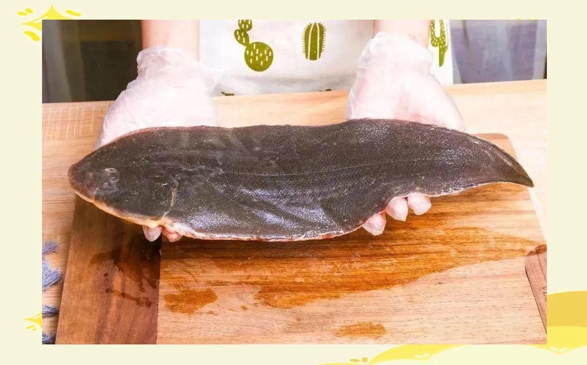龍利魚和巴沙魚圖片 龍魚百科 第20張 龍利魚和巴沙魚圖片 龍利魚和巴沙魚圖片 龍魚百科 第20張