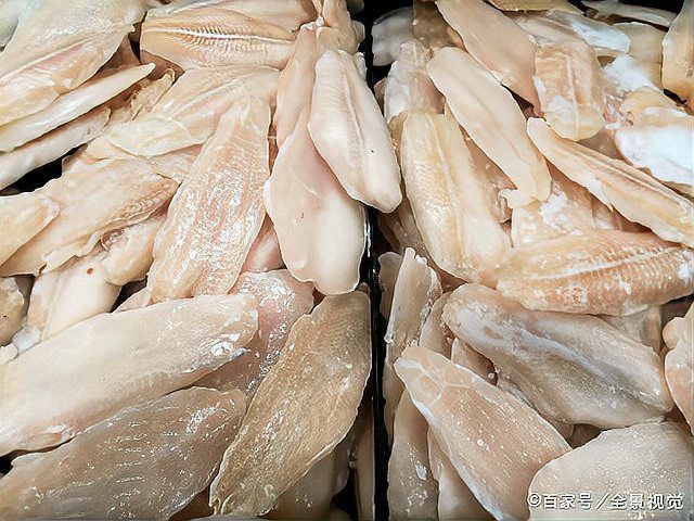龍利魚和巴沙魚圖片 龍魚百科 第30張 龍利魚和巴沙魚圖片 龍利魚和巴沙魚圖片 龍魚百科 第30張