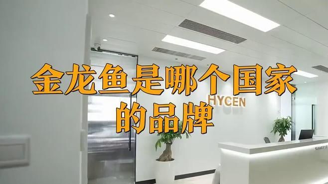 金龍魚是否有外資背景？